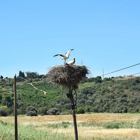 Quiet Holidays In Silves בית הארחה סילבס